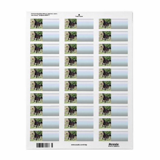 Galloping Kastanienpferd (Vorne)