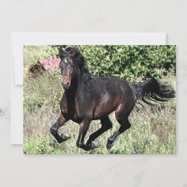 Galloping Kastanienpferd (Vorderseite)