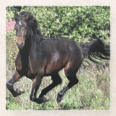 Galloping Kastanienpferd Glasuntersetzer (Vorderseite)