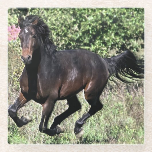 Galloping Kastanienpferd Glasuntersetzer (Vorderseite)