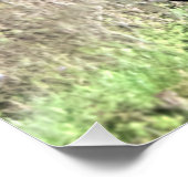 Galloping Kastanienpferd Poster (Ecke)