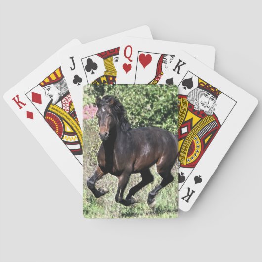 Galloping Kastanienpferd Spielkarten (Rückseite)