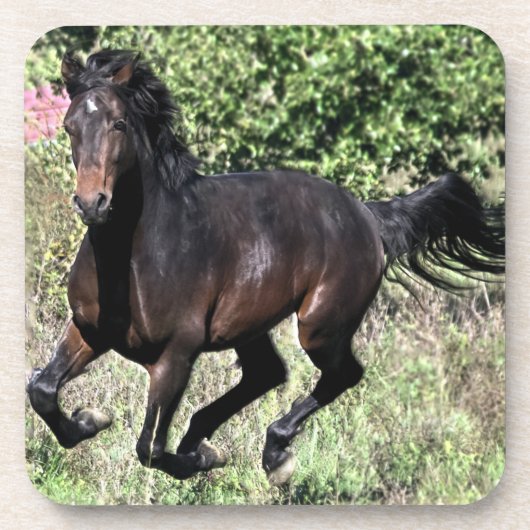 Galloping Kastanienpferd Untersetzer (Vorderseite)