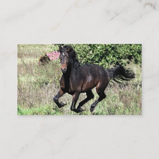 Galloping Kastanienpferd Visitenkarte (Rückseite)