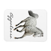 Galloping Leopard Appaloosa Pferd Premium Magnet (Horizontal)