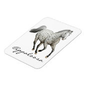 Galloping Leopard Appaloosa Pferd Premium Magnet (Linke Seite)