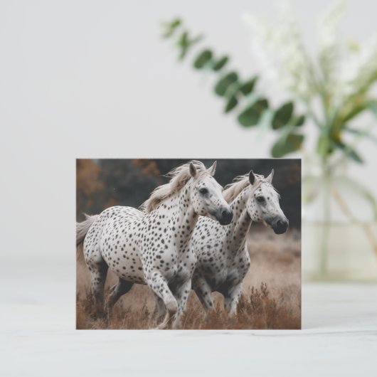 Galloping Leopard Appaloosa Pferde Postkarte (Stehend Vorderseite)