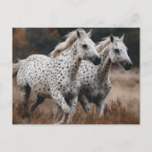 Galloping Leopard Appaloosa Pferde Postkarte (Vorderseite)