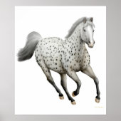 Galloping Leopard Appaloosa Pferde Print Poster (Vorne)