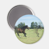 Galloping Mustangs Round Magnet (Vorderseite/Rückseite)