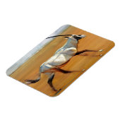 Galloping Oryx 2010 Magnet (Linke Seite)