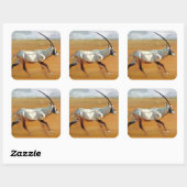Galloping Oryx 2010 Quadratischer Aufkleber (Blatt)