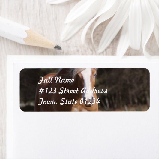 Galloping Palomino Mailing Labels (Insitu)