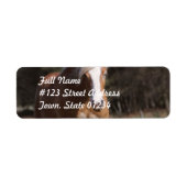 Galloping Palomino Mailing Labels (Vorne)