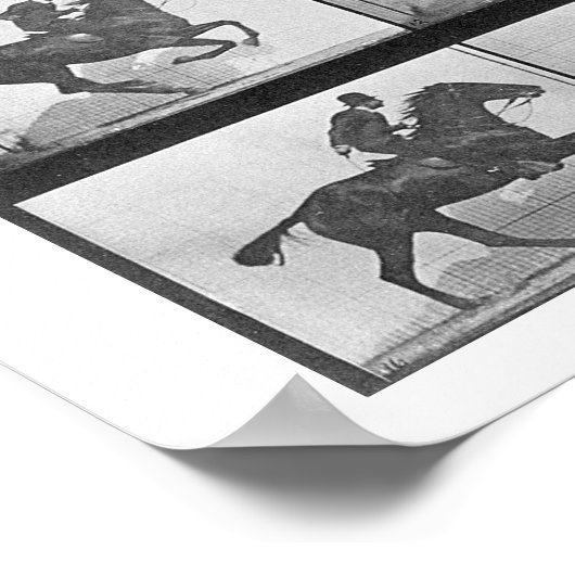 Galloping Pferd, Platte 628 von 'Animal Locomotion Poster (Ecke)