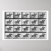 Galloping Pferd, Platte 628 von 'Animal Locomotion Poster (Vorne)