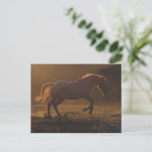 Galloping Pferd Postcard mit Zurück-Lighting Postkarte (Stehend Vorderseite)