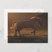 Galloping Pferd Postcard mit Zurück-Lighting Postkarte (Vorne/Hinten)