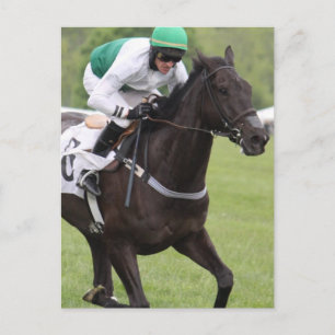 Galloping Race Horse Postcard Postkarte