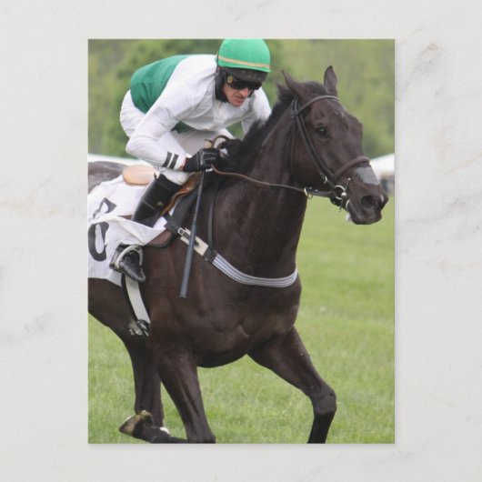 Galloping Race Horse Postcard Postkarte (Vorderseite)