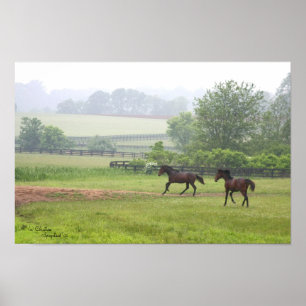 Galloping Standard Horses Poster