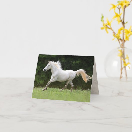 Galloping Weißes Pferd Karte (Gelbe Blume)