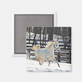 Galloping White Horse Magnet (Vorderseite/Rückseite)