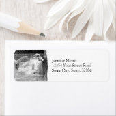 Galloping White Water Horse (Insitu)