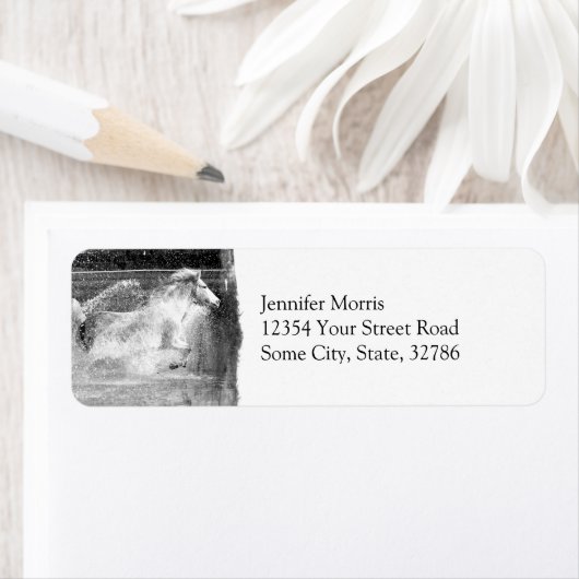 Galloping White Water Horse (Insitu)