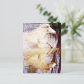 Galloping White Water Horse Postkarte (Stehend Vorderseite)