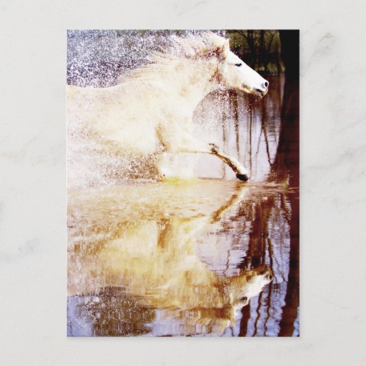 Galloping White Water Horse Postkarte (Vorderseite)