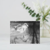 Galloping White Water Horse Postkarte (Stehend Vorderseite)