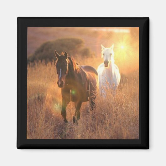 Galloping Wild Horses Square Magnet (Vorne)