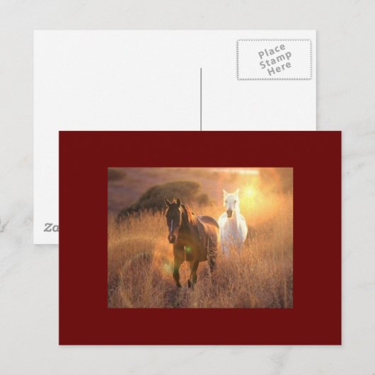 Galloping Wilde Pferde Postkarte (Vorne/Hinten)