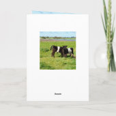 Galloway Baby Calves, Geburtstag Karte (Rückseite)