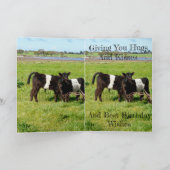 Galloway Baby Calves, Geburtstag Karte (Innenseite)