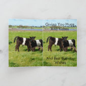 Galloway Baby Calves, Geburtstag Karte (Innenseite)