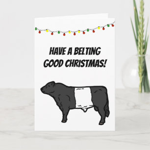 Galloway Beltie Kuh Globt Weihnachten Galloway Bel Karte