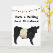 Galloway Beltie Kuh Globt Weihnachten Galloway Bel Karte (Gelbe Blume)