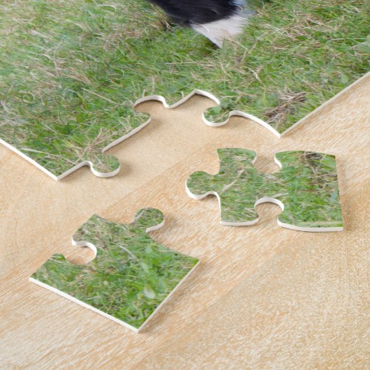 Galloway Calf Jigsaw Puzzle (Seite)