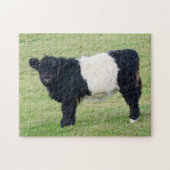 Galloway Calf Jigsaw Puzzle (Horizontal)