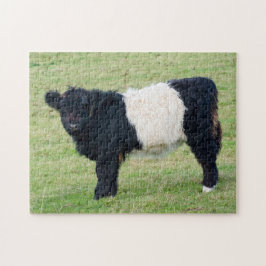 Galloway Calf Jigsaw Puzzle