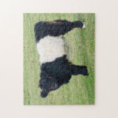 Galloway Calf Jigsaw Puzzle (Vertikal)