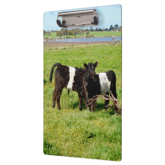 Galloway Calves, Clipboard Klemmbrett (Links)