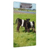 Galloway Calves, Clipboard Klemmbrett (Rechts)
