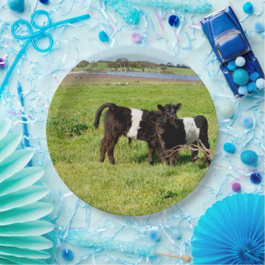 Galloway Calves, Teller, Papier Pappteller (Party)
