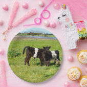 Galloway Calves, Teller, Papier Pappteller (Party)