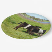 Galloway Calves, Teller, Papier Pappteller (Schrägansicht)