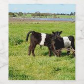 Galloway Calves, Weinetiketten Weinetikett (Einzelnes Label)