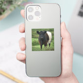 Galloway Cow Aufkleber (Telefon)